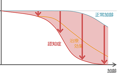 年月とともに衰える認知機能の推移のシェーマ2