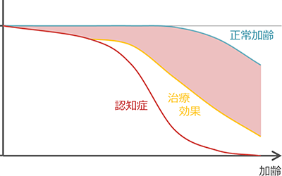 年月とともに衰える認知機能の推移のシェーマ3