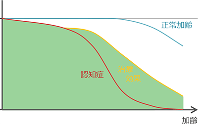 年月とともに衰える認知機能の推移のシェーマ5